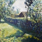 Back Garden on a Hot June Day