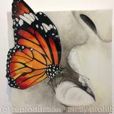 A Butterfly Kiss