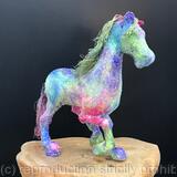 Rainbow pony