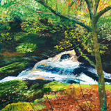 The Falls at Routin Bridge D