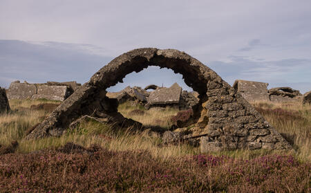 Z Battery, Golta, Flotta