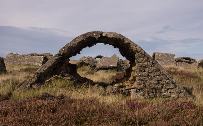 Z Battery, Golta, Flotta