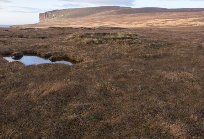 WW2 Anti-aircraft gun emplacement