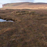 WW2 Anti-aircraft gun emplacement
