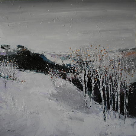 Bolehills Snowfall 3