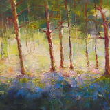 Bluebells and Morning Light 1