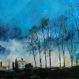 Winter Trees  Sunlight, Bingham Park, Sheffield