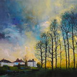 Winter Sunlight, Bingham Park