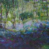 Bluebells [Ecclesall Woods]