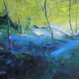 Moning Sunlight  Bluebells