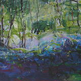 Bluebells [Ecclesall Woods]