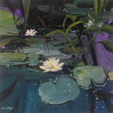 Lily Pond