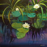 Water Lilies 1