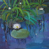 Water Lilies 3