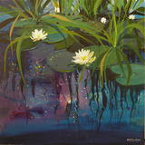 Lily Pond Reflections 1