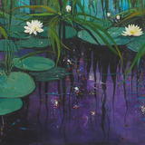 Reflections (Water Lilies)