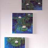 Water Lily Triptych