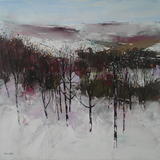 Bolehills Snowfall 2