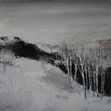 Bolehills Snowfall 3