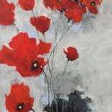 Poppy Splash Tinge Of Blue