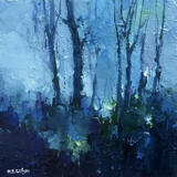 Bluebells, Eccy Woods 3