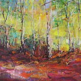 Morning Autumn Sunlight