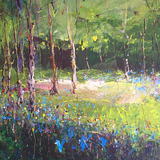 Bluebells and Morning Sunlight