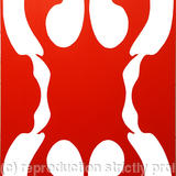 The Life Cycle of Relationships - Love a First Sight