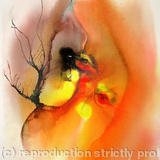 Metamorphosis with Pelican