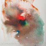 Reflections: Reclaimed ruins