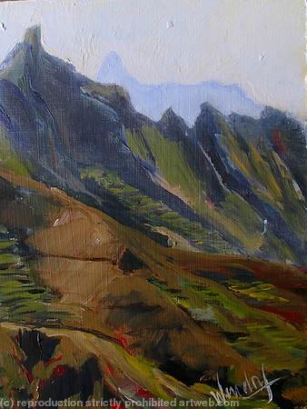 Terraced Hills, Tenerife 1