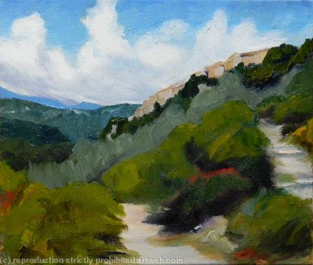 Up through the Olive Groves, St. Cezaire sur Siagne