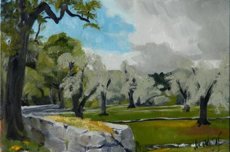 Thunderstorm Over Olive Groves, Le Castellet