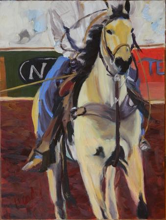 FOCUS (team calf roping)