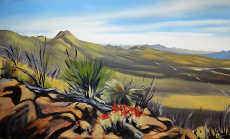 Gold Hill and Organ Pipe Cactus Blossoms