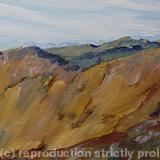 ACross to the Cullins from Streap