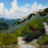 Up through the Olive Groves, St. Cezaire sur Siagne