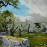 Thunderstorm Over Olive Groves, Le Castellet