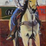 FOCUS (team calf roping)