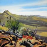 Gold Hill and Organ Pipe Cactus Blossoms