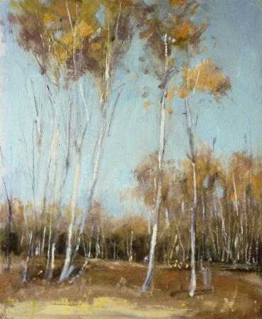 1069 Brede Woods, autumn 10x8