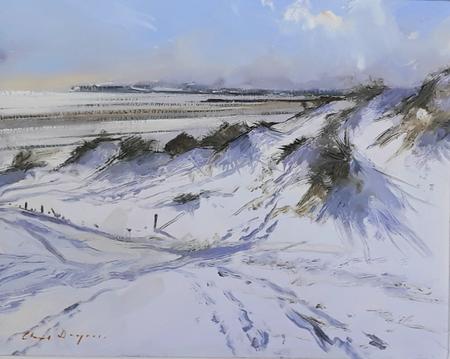 1682  Camber dunes under snow