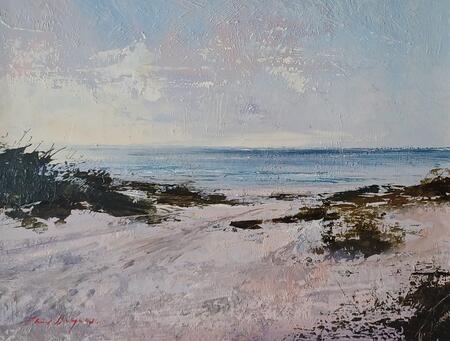 2161 Calm evening, Camber 