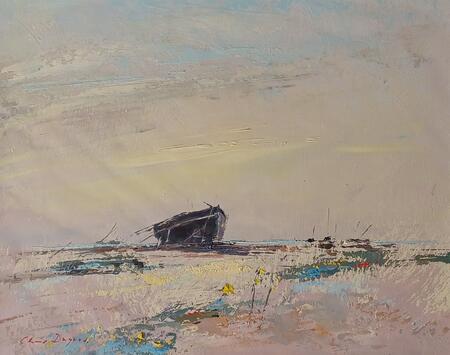 2167a Dungeness beach 