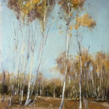 1069 Brede Woods, autumn 10x8