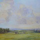 P 710 Nr Ebony, Kent 10x12 F. I-Finch