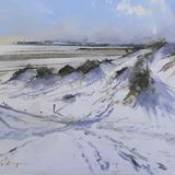 1682  Camber dunes under snow