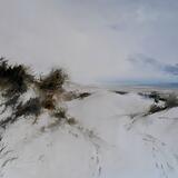 1967 Morning light, Camber 