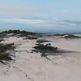1976 Dunes, Wells beach