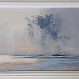 2111 Shower passed, Scolt Head